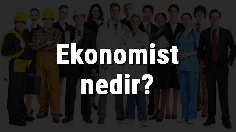 Ekonomist nedir, ne iş yapar ve nasıl olunur Ekonomist olma şartları, maaşları ve iş imkanları