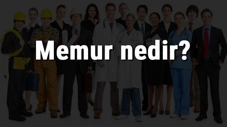 Memur nedir, ne iş yapar ve nasıl olunur Memur olma şartları, maaşları ve iş imkanları