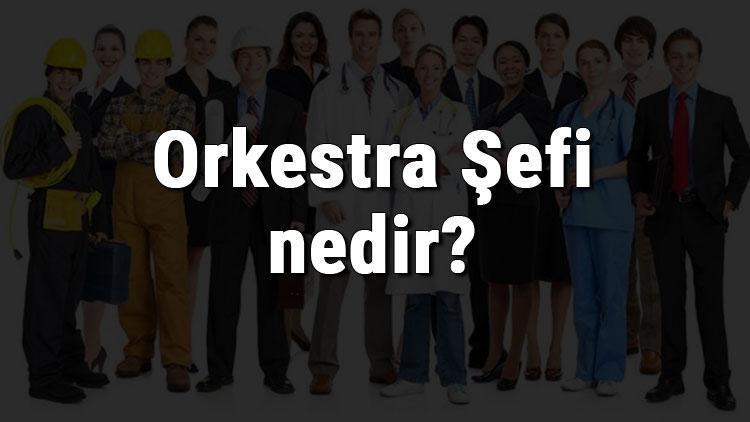 Orkestra Şefi nedir, ne iş yapar ve nasıl olunur Orkestra Şefi olma şartları, maaşları ve iş imkanları