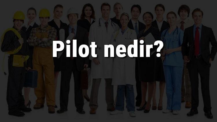 Pilot nedir, ne iş yapar ve nasıl olunur Pilot olma şartları, maaşları ve iş imkanları