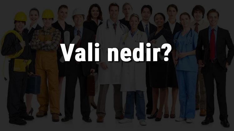 Vali nedir, ne iş yapar ve nasıl olunur Vali olma şartları, maaşları ve iş imkanları