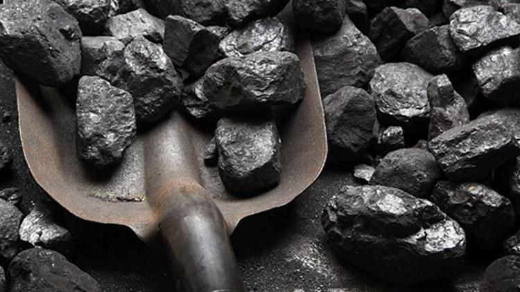 Dünya sigorta sektörü ‘kömürsüz hayat’ için harekete geçti