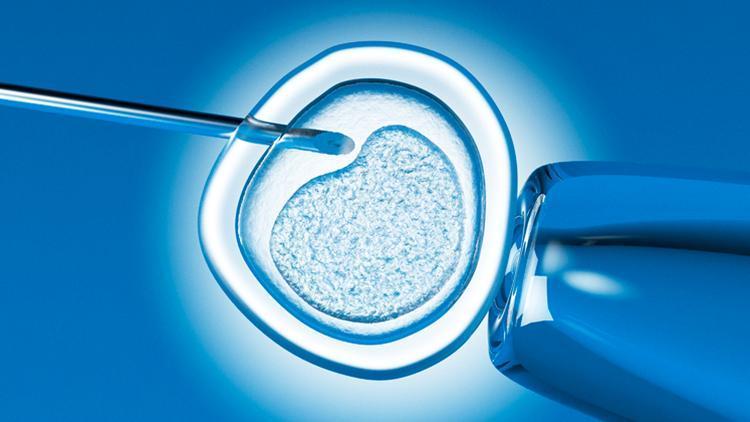 Embriyo transferi sonrası dikkat edilmesi gerekenler
