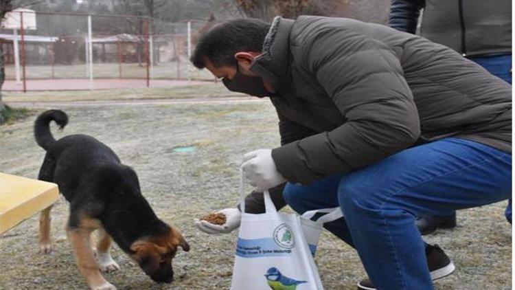 Sivasta sokak hayvanları unutulmadı