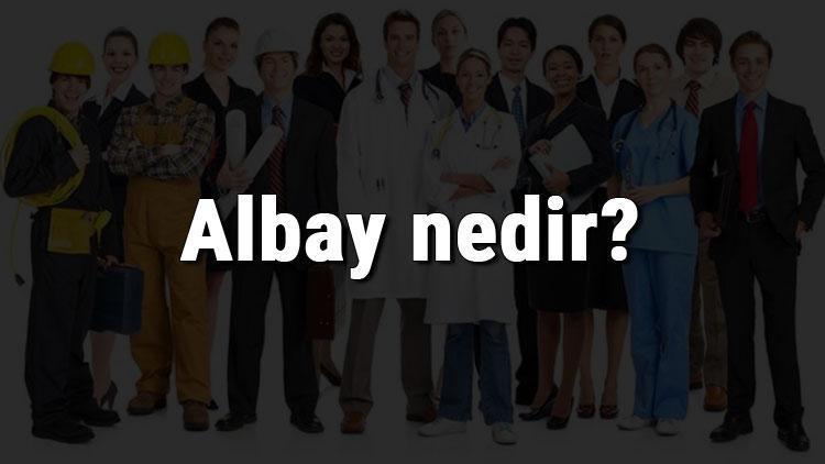 Albay nedir, ne iş yapar ve nasıl olunur Albay olma şartları, maaşları ve iş imkanları