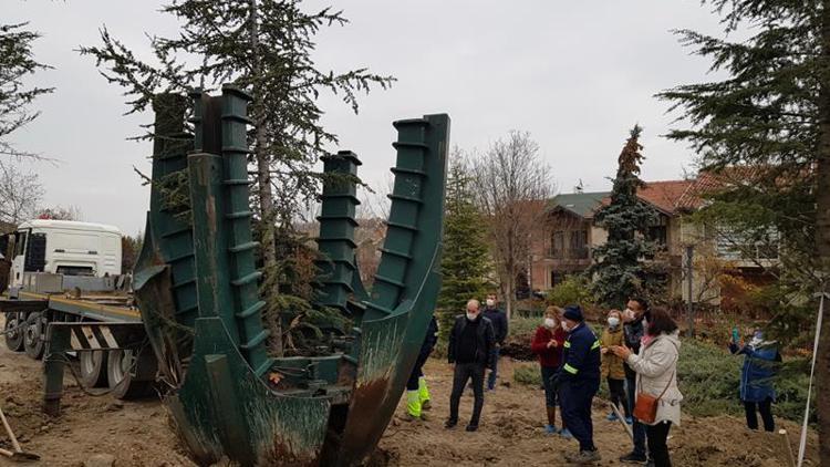 Yol için sökülen ağaçlar parkın iç kesimine dikildi