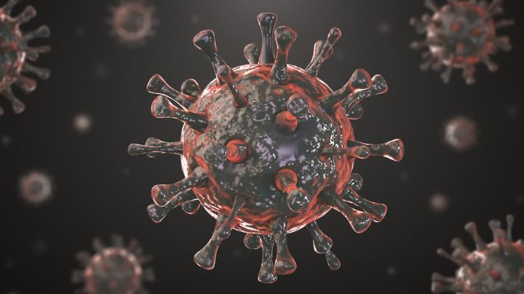 Koronavirüste aşıları etkisiz kılacak mutasyona rastlanmadı