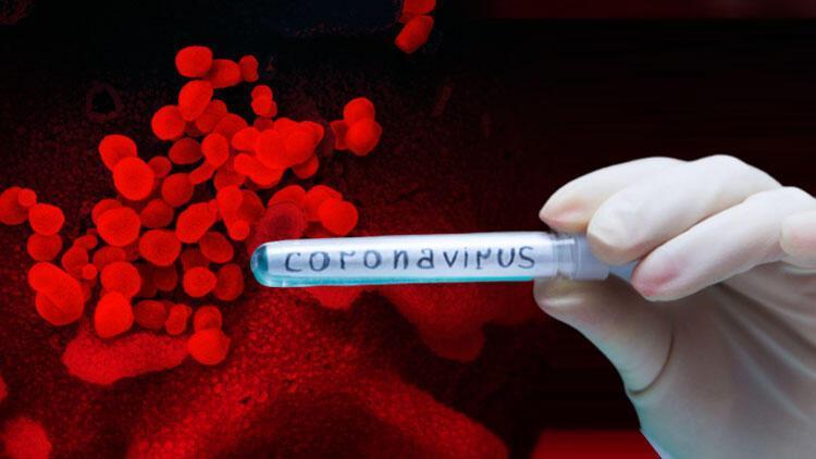 VUI 202012/01 nedir Koronavirüs mutasyonu SARS-CoV-2 VUI 202012/01 ile ilgili bilgiler