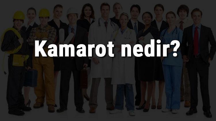 Kamarot nedir, ne iş yapar ve nasıl olunur Kamarot olma şartları, maaşları ve iş imkanları