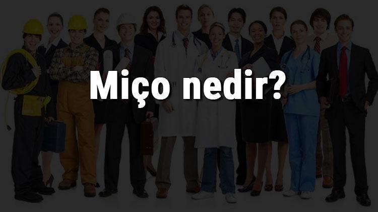 Miço nedir, ne iş yapar ve nasıl olunur Miço olma şartları, maaşları ve iş imkanları