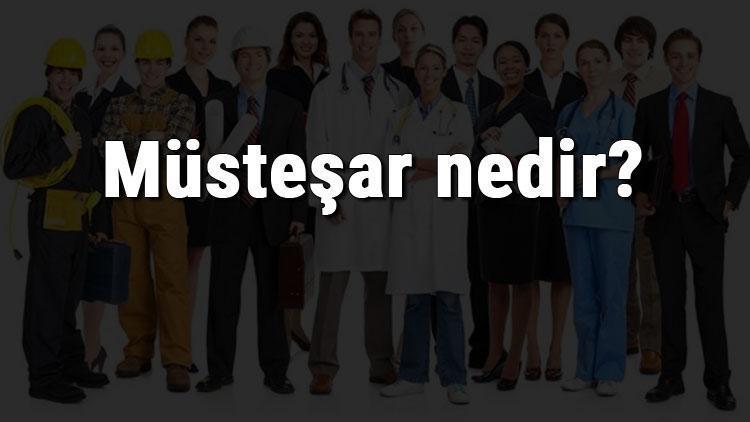 Müsteşar nedir, ne iş yapar ve nasıl olunur Müsteşar olma şartları, maaşları ve iş imkanları