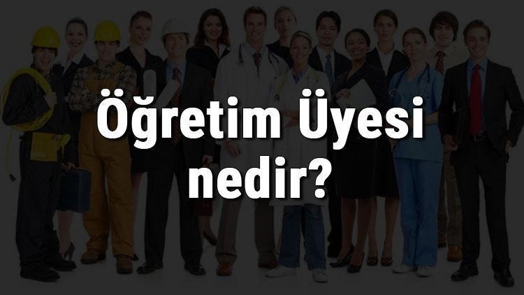 Öğretim Üyesi nedir, ne iş yapar ve nasıl olunur Öğretim Üyesi olma şartları, maaşları ve iş imkanları