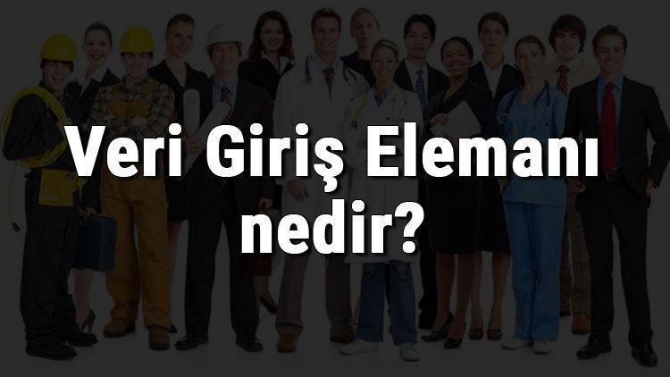 Veri Giriş Elemanı nedir, ne iş yapar ve nasıl olunur Veri Giriş Elemanı olma şartları, maaşları ve iş imkanları