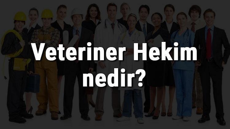 Veteriner Hekim nedir, ne iş yapar ve nasıl olunur Veteriner Hekim olma şartları, maaşları ve iş imkanları