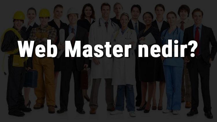 Web Master nedir, ne iş yapar ve nasıl olunur Web Master olma şartları, maaşları ve iş imkanları