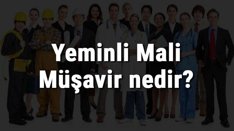 Yeminli Mali Müşavir nedir, ne iş yapar ve nasıl olunur Yeminli Mali Müşavir olma şartları, maaşları ve iş imkanları