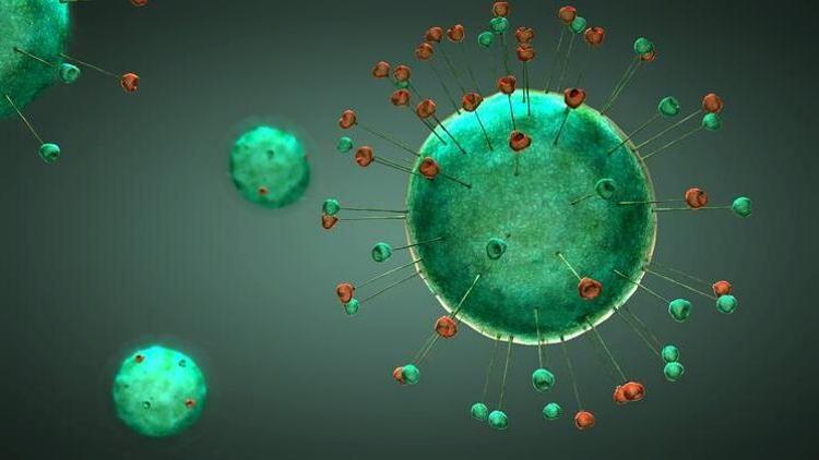 Mikrobiyoloji Profesöründen açıklama: Virüs korkulduğu kadar bulaşıcı olmayabilir