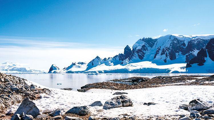 Virüs Antarktika kıtasına ulaştı