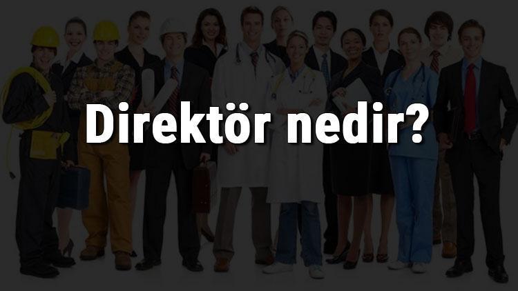 Direktör nedir, ne iş yapar ve nasıl olunur Direktör olma şartları, maaşları ve iş imkanları