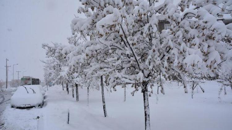 Bitlis’te 224 köy yolu kardan kapandı