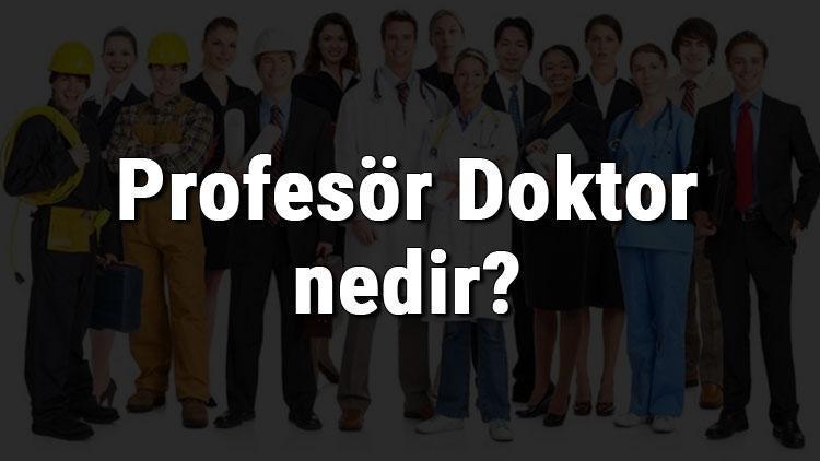 Profesör Doktor nedir, ne iş yapar ve nasıl olunur Profesör Doktor olma şartları, maaşları ve iş imkanları