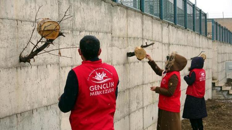 Ercişli gençler, kütüklerle yaptıkları kuş yuvası içine yem koyup, duvara astı