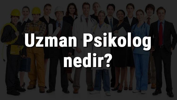 Uzman Psikolog nedir, ne iş yapar ve nasıl olunur Uzman Psikolog olma şartları, maaşları ve iş imkanları