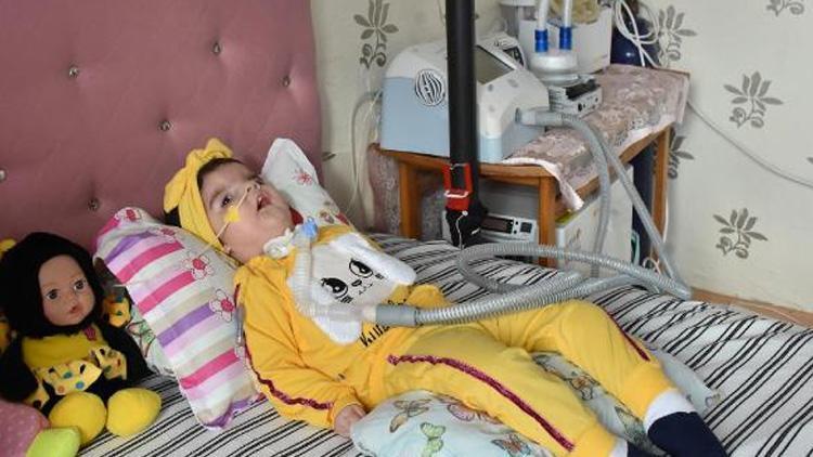 SMA hastası 17 aylık Yaren Belli, tedavi için destek bekliyor