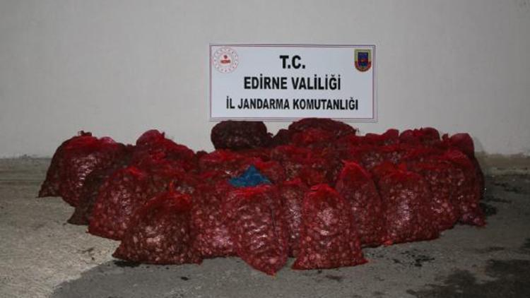 Edirne’de 1 ton kaçak midyeye 101 bin lira ceza