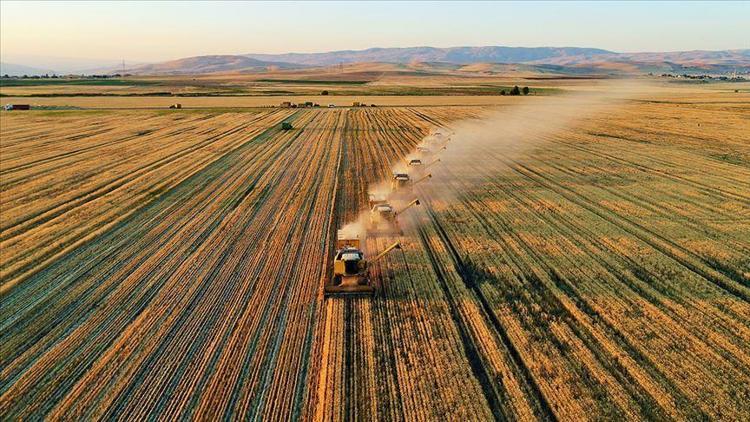 Bakan Pakdemirli açıkladı Cumhuriyet tarihinin rekoruna ulaşıldı