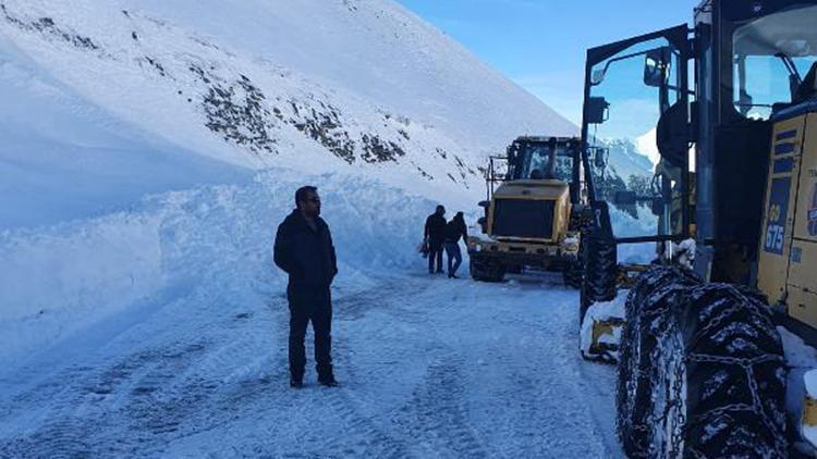 Çığ riski yüzünden kapatılan Van- Bahçesaray yolu, ulaşıma açıldı