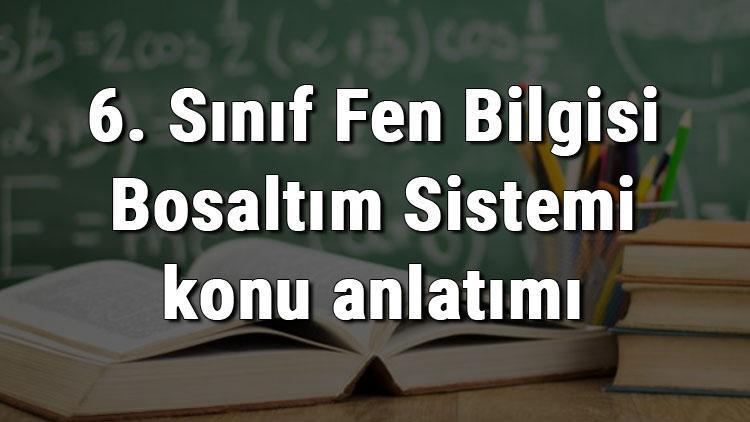 6. Sınıf Fen Bilgisi Boşaltım Sistemi konu anlatımı