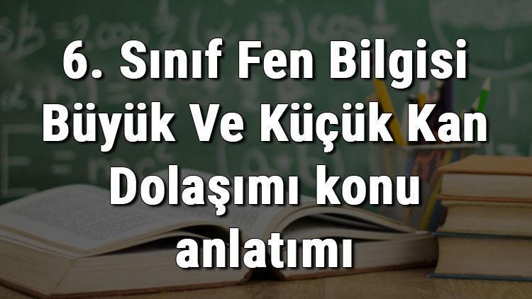 6. Sınıf Fen Bilgisi Büyük Ve Küçük Kan Dolaşımı konu anlatımı