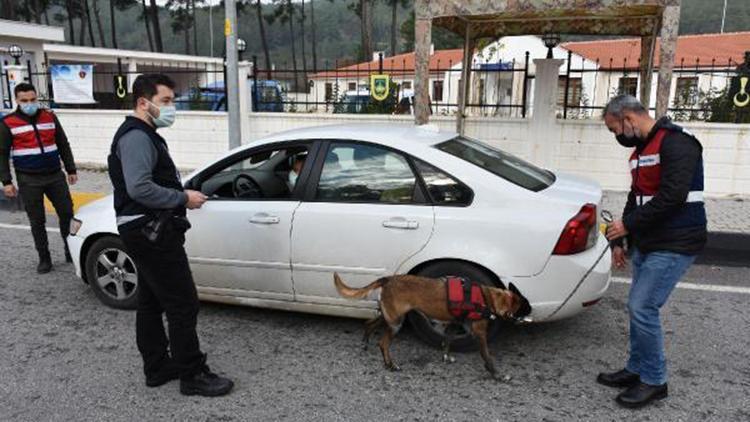 Marmarise gelenlerin araçları jandarmanın dedektör köpekleri ile arandı