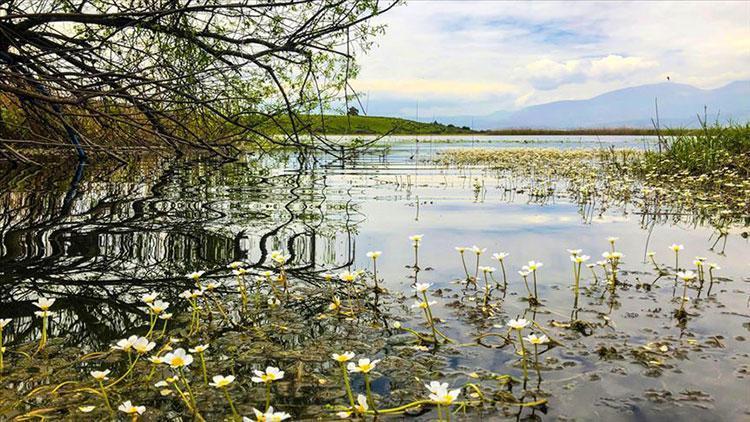 Sulak alanları doldurarak arazi kazananlara ceza yazılacak