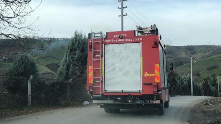 Sakaryada anız yangını