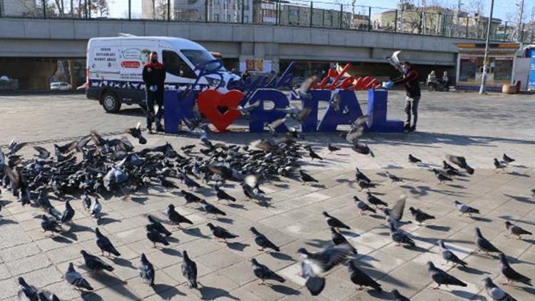 Kartal Belediyesi, 4 günlük kısıtlamada sokak hayvanlarını unutmadı