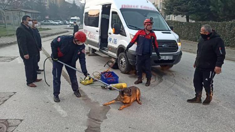 Minibüsün altında kalan köpeği itfaiye kurtardı