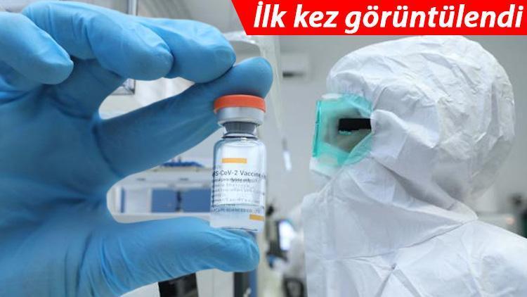 Sağlık Bakanlığından Sinovacın koronavirüs aşısına ilişkin açıklama