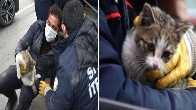 Hafif ticari aracın altına giren kedi, 2 saatte kurtarıldı