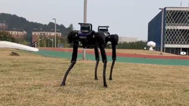 Robot köpek düşünce ayağa kalkmasını öğrendi