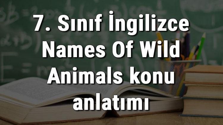 7. Sınıf İngilizce Names Of Wild Animals (Vahşi Hayvanların İsimleri) konu anlatımı