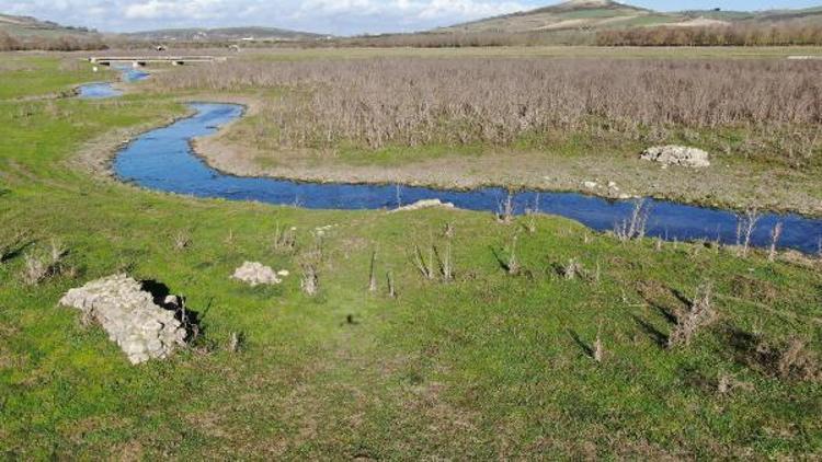 Sazlıderede sular çekildi, koyunların otladığı barajda köprü kalıntıları ortaya çıktı