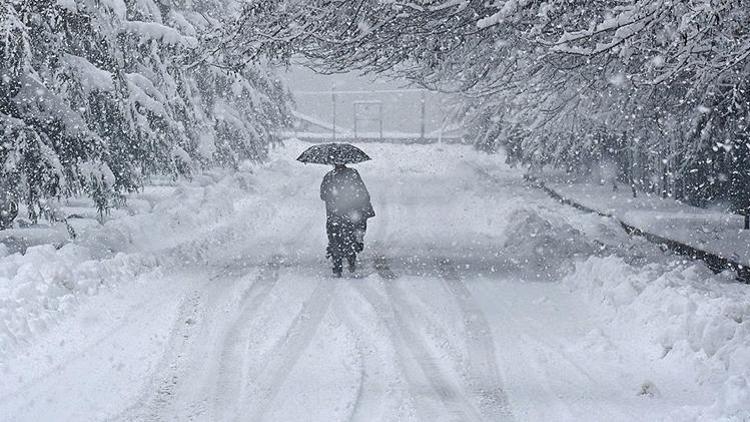Japonya’da yoğun kar yağışı nedeniyle hayatını kaybedenlerin sayısı 29a çıktı