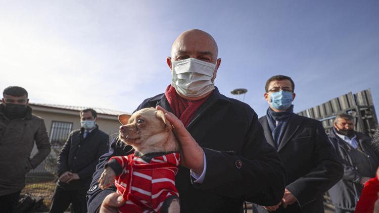 20 köpek yeni yuvalarına pazartesi kavuşacak