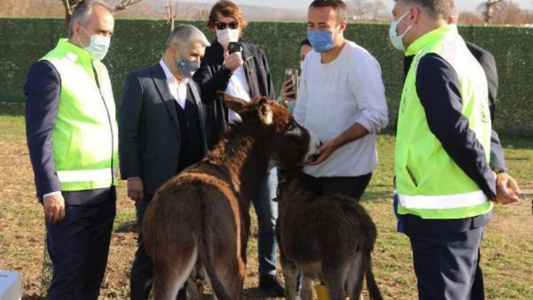 Bursa Büyükşehir Belediye Başkanı Aktaş, Emekli Hayvanlar Çiftliğini ziyaret etti