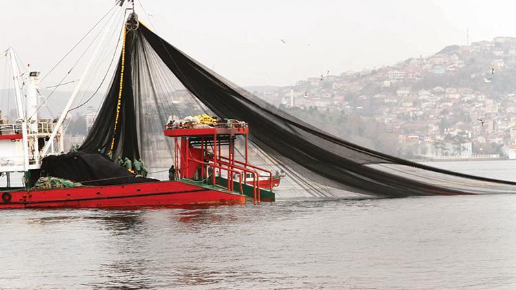 Hamsi yasağı uzatılsın