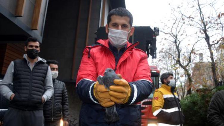 Avcılarda balkona sıkışan güvercini itfaiye kurtardı