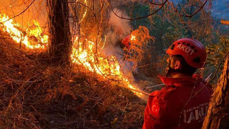Doğu Karadeniz’de, 4 ilde çıkan orman yangınları söndürüldü
