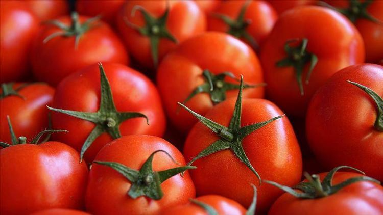 Türkiyenin domates ihracatı geçen yıl yükseldi